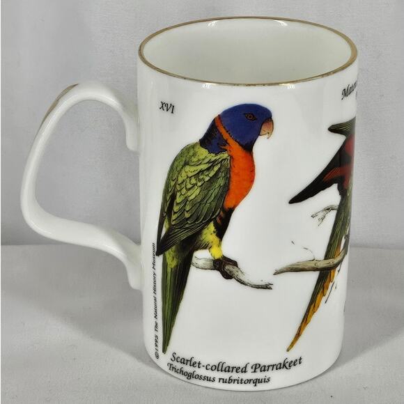 STAFFORDSHIRE SCARLET-COLLARED PARAKEET MUG - VIBRANT & ELEGANT! - Picture 1 of 6